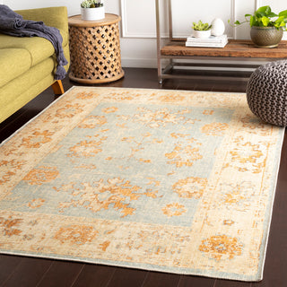 Surya Amelie AML-2302 Area Rug Room Scene Feature