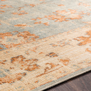 Surya Amelie AML-2302 Area Rug Detail