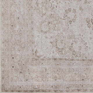 Surya Amelie AML-2303 Area Rug