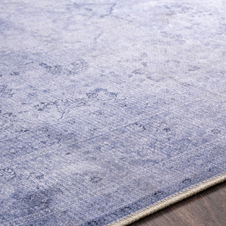 Surya Amelie AML-2304 Area Rug Detail