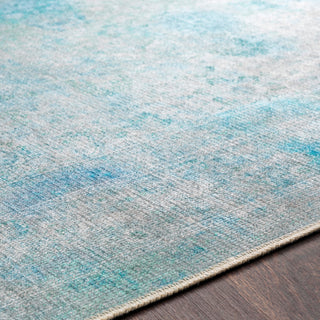 Surya Amelie AML-2305 Area Rug Detail