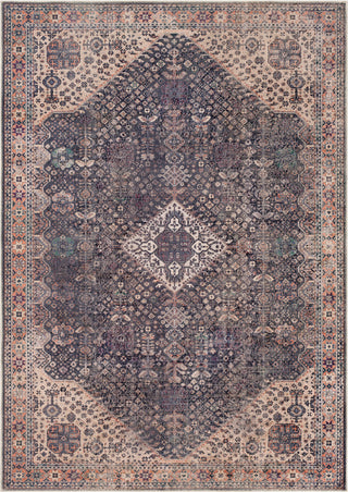 Surya Amelie AML-2307 Denim Aqua Butter Rose Dark Purple Clay Area Rug Mirror main image