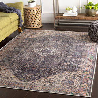 Surya Amelie AML-2307 Area Rug