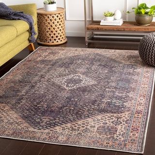 Surya Amelie AML-2307 Area Rug Room Scene Feature