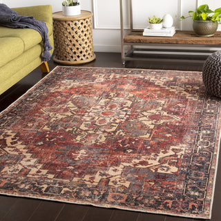 Livabliss Amelie AML-2308 Area Rug