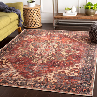 Surya Amelie AML-2308 Area Rug Room Scene Feature