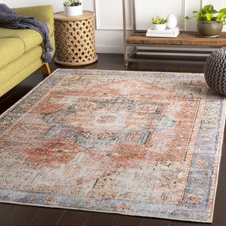 Livabliss Amelie AML-2309 Area Rug