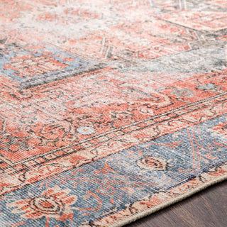 Surya Amelie AML-2309 Area Rug Detail