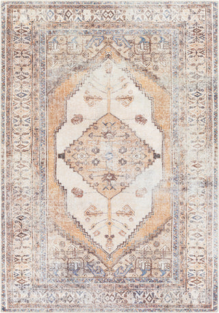 Livabliss Amelie AML-2312 Area Rug