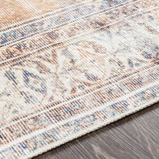 Livabliss Amelie AML-2312 Area Rug