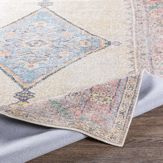 Livabliss Amelie AML-2313 Area Rug