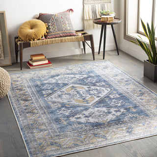 Surya Amelie AML-2315 Area Rug by Artistic Weavers Room Scene