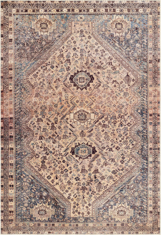 Livabliss Amelie AML-2335 Area Rug