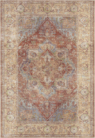 Livabliss Amelie AML-2336 Area Rug