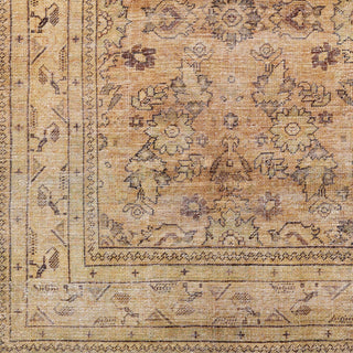 Surya Amelie AML-2338 Area Rug