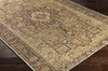 Surya Amelie AML-2348 Area Rug