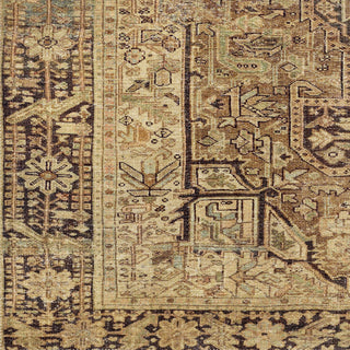 Surya Amelie AML-2348 Area Rug