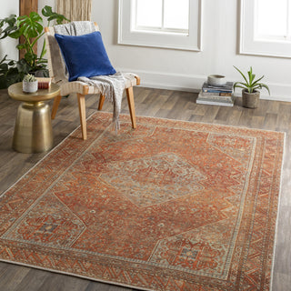 Surya Amelie AML-2351 Area Rug Room Scene Feature