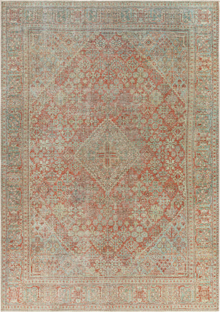 Surya Amelie AML-2355 Area Rug main image