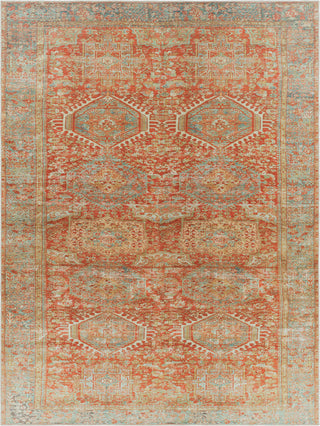 Surya Amelie AML-2357 Area Rug main image