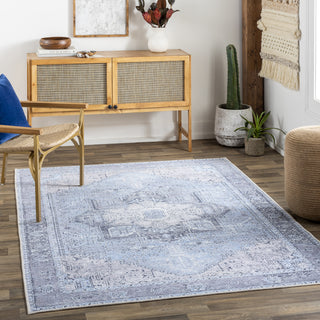 Surya Amelie AML-2358 Area Rug Room Scene Feature