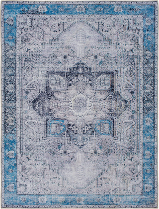 Surya Amelie AML-2359 Area Rug main image