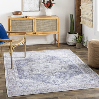 Surya Amelie AML-2360 Area Rug Room Scene Feature