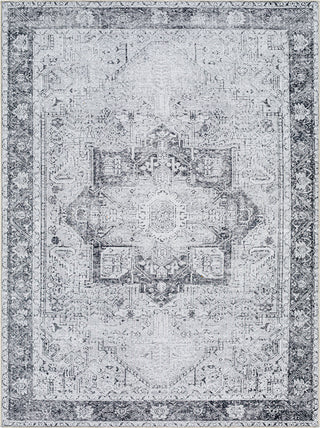 Surya Amelie AML-2361 Area Rug Main