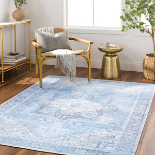 Surya Amelie AML-2362 Area Rug Room Scene Feature