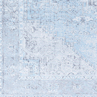 Surya Amelie AML-2362 Area Rug Swatch