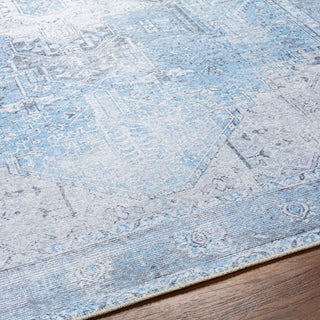 Surya Amelie AML-2362 Area Rug Detail