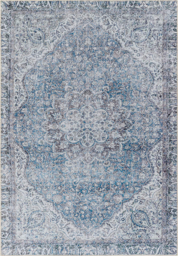 Surya Amelie AML-2364 Area Rug main image