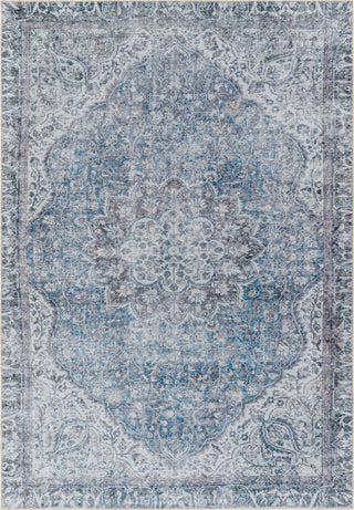 Surya Amelie AML-2364 Area Rug main image