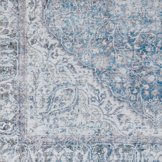 Surya Amelie AML-2364 Area Rug Swatch