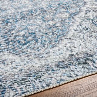 Surya Amelie AML-2364 Area Rug Detail