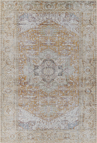 Surya Amelie AML-2367 Area Rug main image