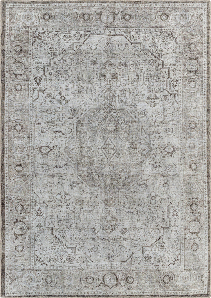Surya Amelie AML-2368 Area Rug main image