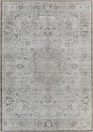 Surya Amelie AML-2368 Area Rug main image