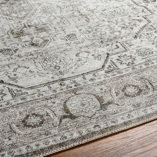 Surya Amelie AML-2368 Area Rug Detail