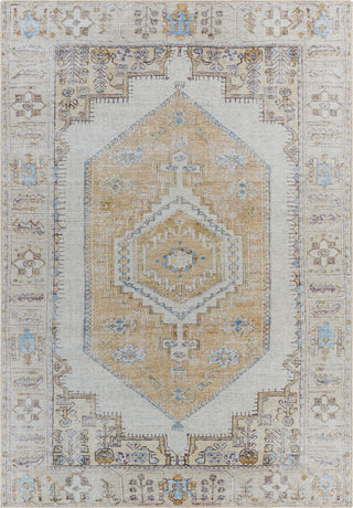 Surya Amelie AML-2369 Area Rug main image