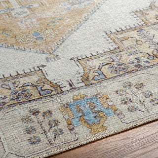 Surya Amelie AML-2369 Area Rug Detail