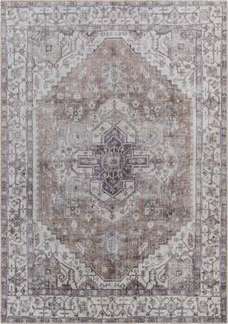 Surya Amelie AML-2371 Area Rug main image