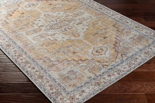 Surya Amelie AML-2373 Area Rug Corner Shot