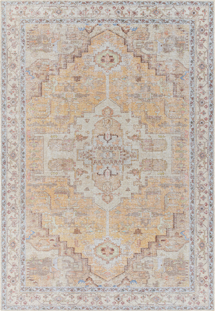 Surya Amelie AML-2373 Area Rug main image