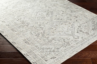 Surya Amelie AML-2379 Area Rug Corner Shot