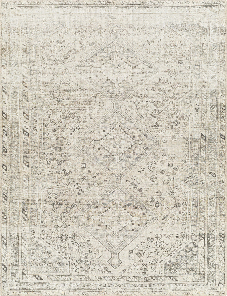 Surya Amelie AML-2379 Area Rug main image