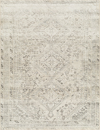 Surya Amelie AML-2379 Area Rug main image