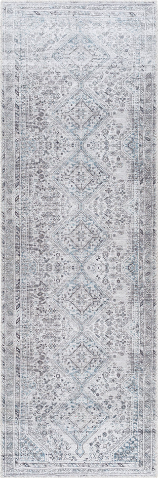 Surya Amelie AML-2380 Area Rug Main