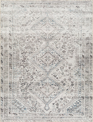 Surya Amelie AML-2380 Area Rug main image