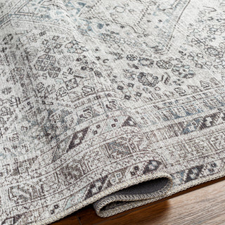 Surya Amelie AML-2380 Area Rug Pile